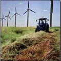Renewable Energy Living: Genetically Modified Food Fight Image